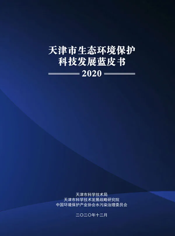 (Обложка «Синей книги»)